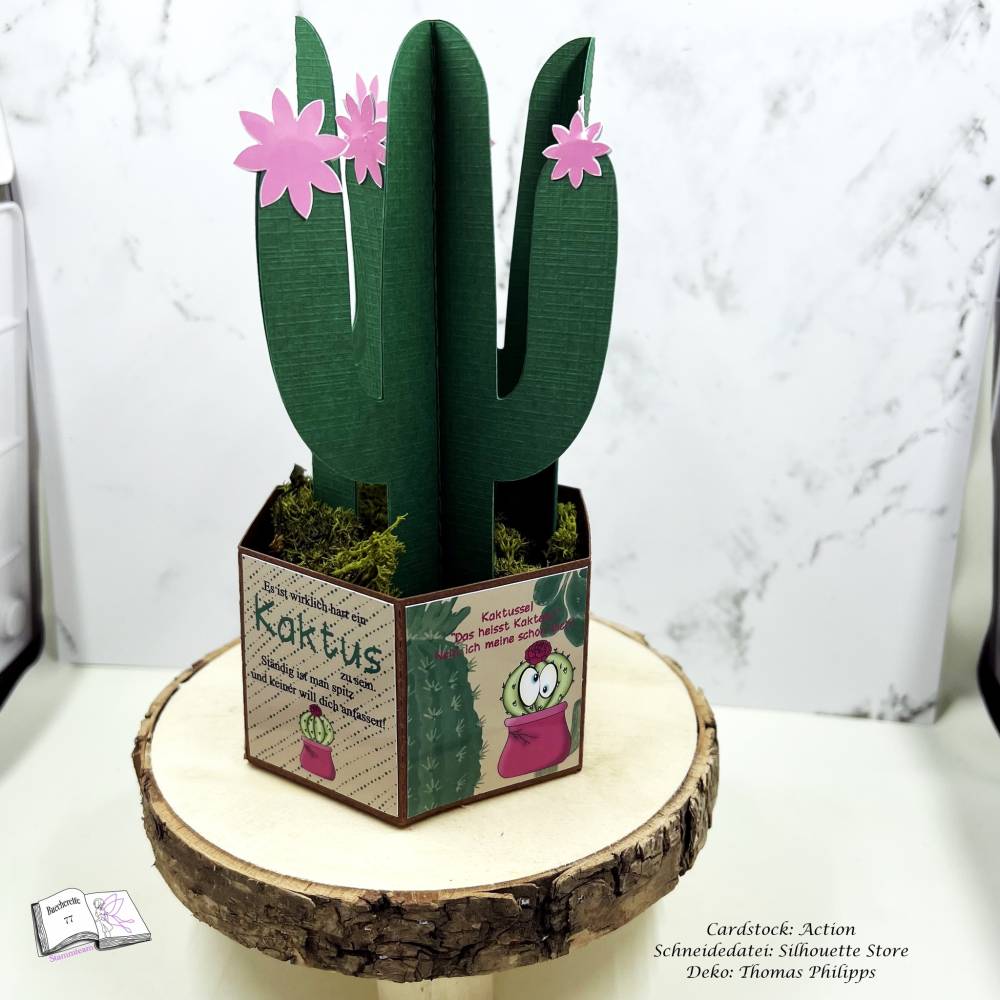 kaktus gemälde Kakteen-Gemälde Blüten Rosa Türkis main image 0
