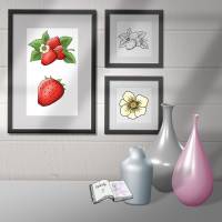 Digiset Erdbeere