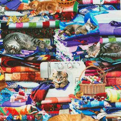Patchworkstoff Katzen im Nähzimmer – Baumwollstoff mit Katzenmotiv, 110cm breit, Timeless Treasures