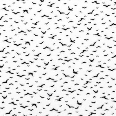 Viskosestoff kleine Vögel weiß. Grundpreis: 1 m² = 7,01 €. Ab 4,98 € = 0,50 m. 100% Viskose, nicht dehnbar, wunderschön