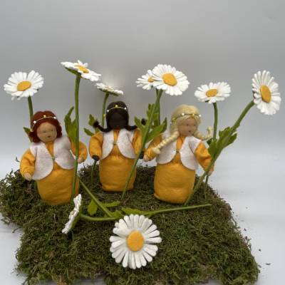 Margerite- Blumenkind - Jahreszeitentisch - Sommer