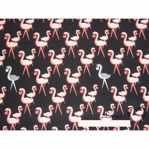 13,40 EUR/m Jersey Baumwolle Flamingo auf schwarz