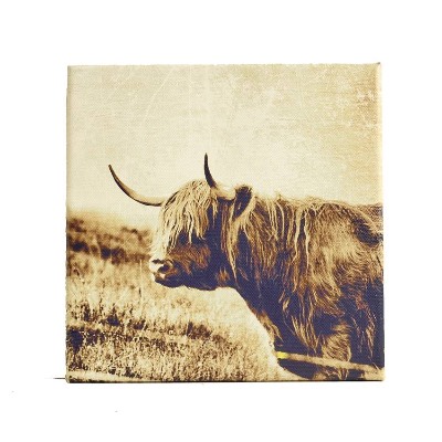 Leinwand Hochlandrind Isle of Skye – Retro Natur Wandbild 20×20 cm