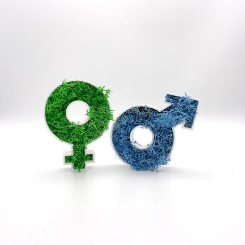 Deko-Rahmen "Gender-Set Mann + Frau" für Moos oder Blumen