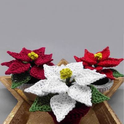 Häkelanleitung Weihnachtsstern im Topf - einfach aus Wollresten