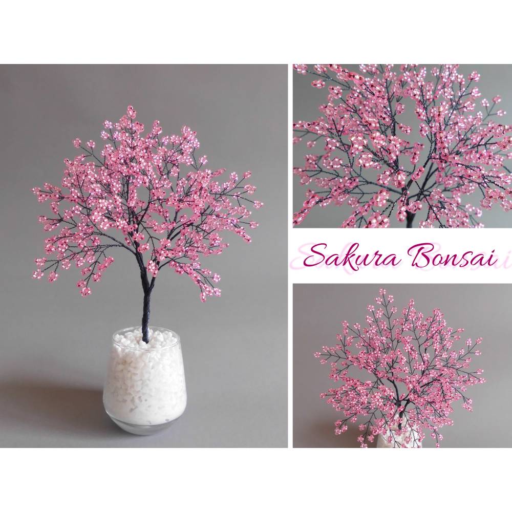 bonsai prunus mume Japanese Apricot/Plum Bonsai main image 0