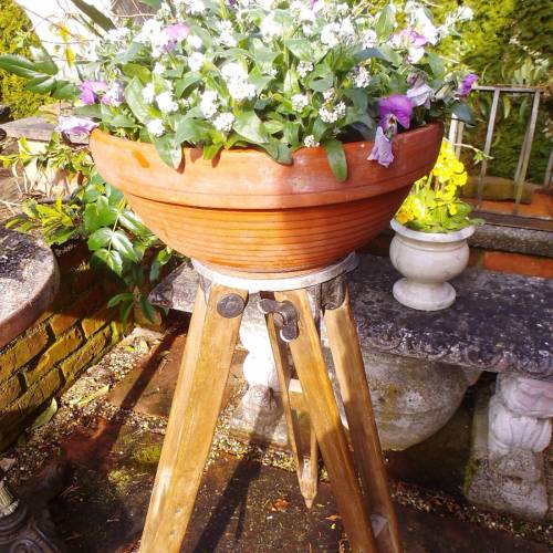 Antik Stativ Holzstativ Dreibein Lampenständer