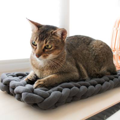 Flaches Katzenbett für Fensterbänke, Regale & Transportboxen liebevoll von Hand in Niedersachsen gefertigt | Längsmuster