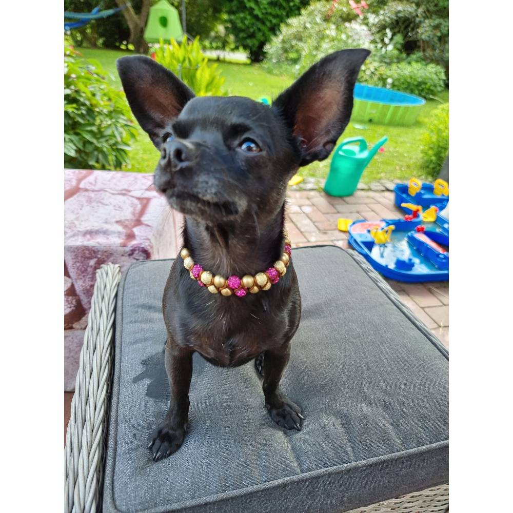 keramik halsband hunde EM-Keramik-Halsband Handmade „Holzperle“ für kleine, mittlere und große  Hunde mit natürlichen Holzperlen ist robust und stilvoll main image 1
