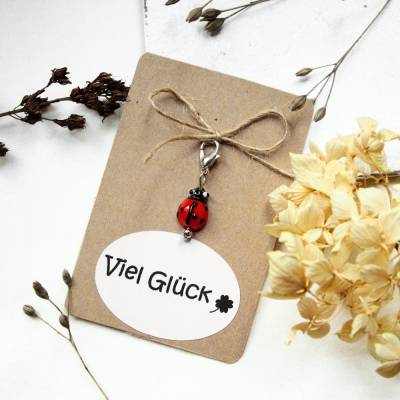 Glücksbringer Marienkäfer ~ Charm | Anhänger