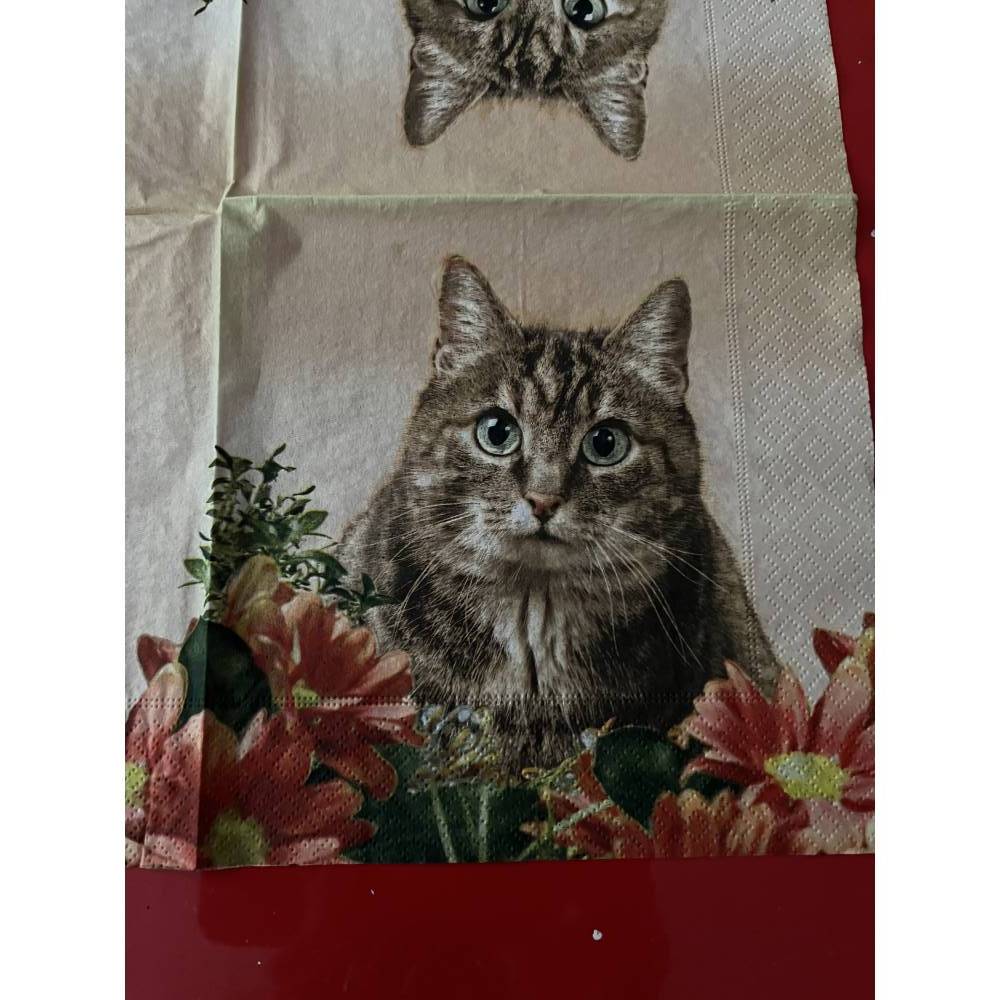 Serviette / Motivservietten Katze -1 einzelne Serviette