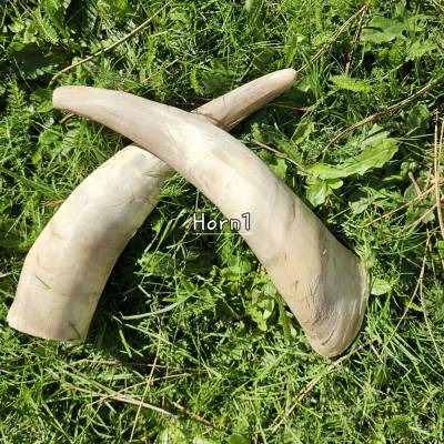 Trinkhorn Wikinger Mittelalter Larp – 2 Stück unbehandelt aus Rinderhorn, 28 cm