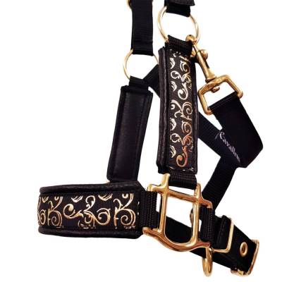 Halfter Pony "Artus" personalisierbar Pferdehalfter Größe Pony schwarz gold