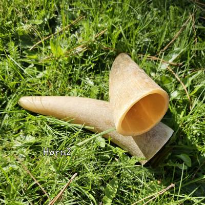 Trinkhorn unbehandelt für Wikinger, Mittelalter & Larp – Rinderhorn, ca. 9 cm, Set (Rihö2)
