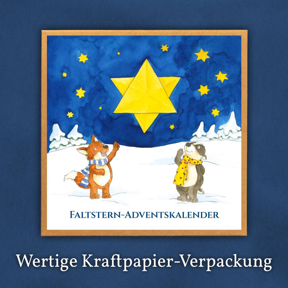 Faltstern-Adventskalender für Kinder von 6 bis 100+ Jahren, eine Faltanleitung, 24 Motive, jeden Tag ein Stern (je 7cm) Bild 8