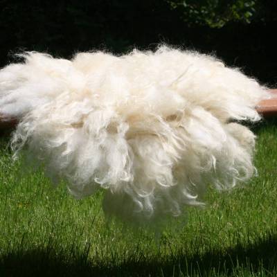 Fellkissen vom Bentheimer Biolandschaf