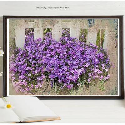 LILA PHLOX Blumen im Shabby Chic DIGITALES BILD ZUM DOWNLOAD & DRUCKEN Printables Wanddeko Poster Karte Geschenkidee
