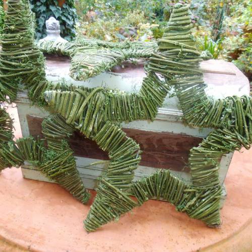 Sterne Weihnachtsstern Naturstern Weihnachtsdeko Weihnachten Advent Cottage