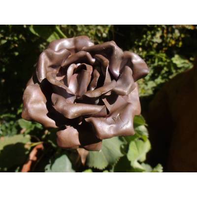 Rose Kupfer Kupferrose Kunsthandwerk Monogramm Cottage Landhaus