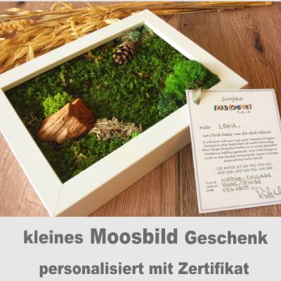 moosbild pflanzenbild echtes moos rinde wand bild moosbilder vertikaler garten wanddeko personalisierbar geschenk