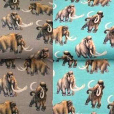 ♕ French Terry taupe oder mint mit tollen Mammuts Steinzeit 50 x 150 cm Nähen Stoff ♕