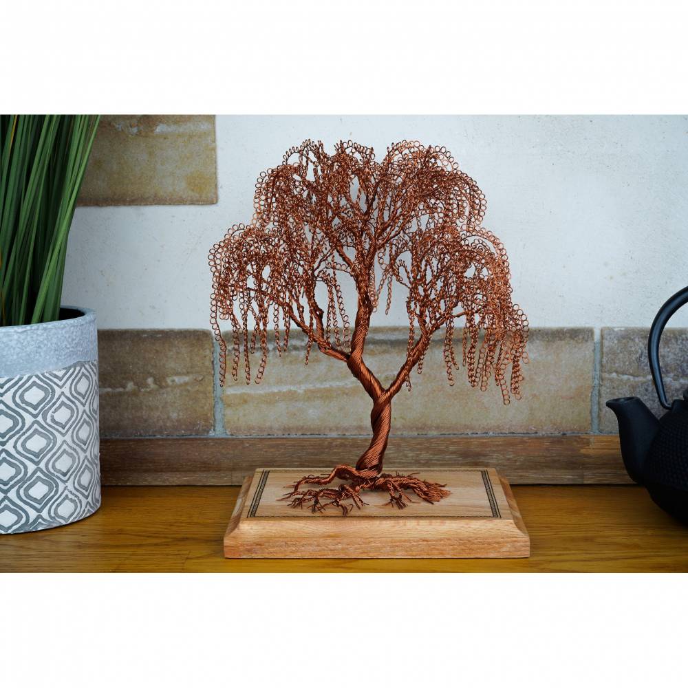 eiben kaufen 100 cm Gemeine Eibe (Taxus baccata) | 100-125 cm mit Wurzelballen