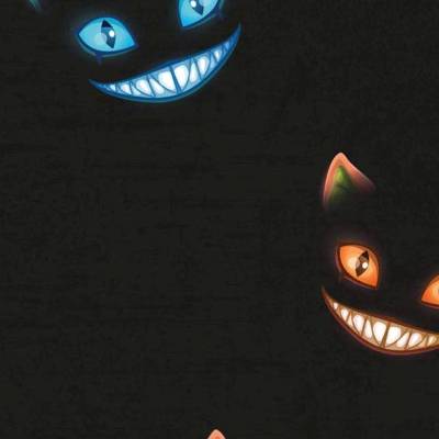 Jersey Baumwolle Geisterkatze schwarz-bunt Oeko-Tex Standard 100(1m/15,-€)