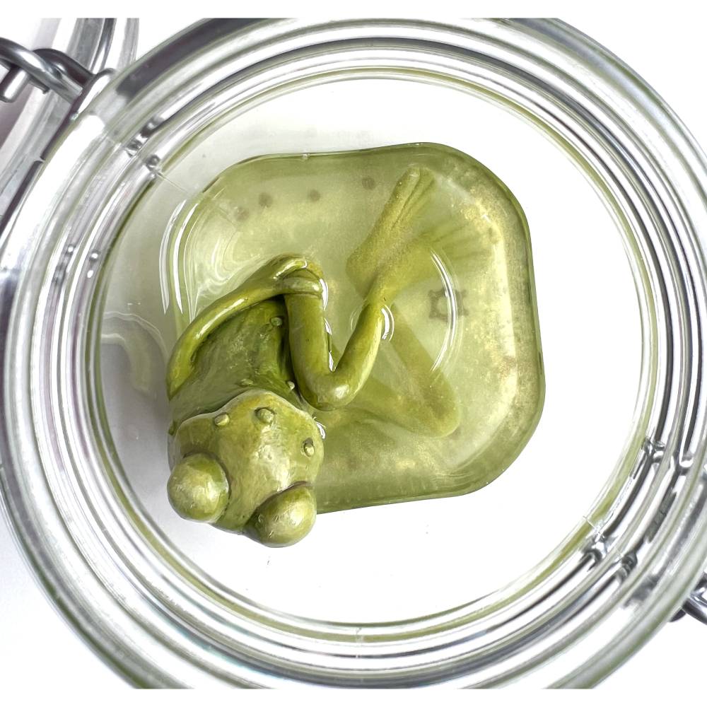 Der Spreewaldfrosch, Pickles, saure Gurken, Frosch Skulptur, Frosch im Glas, Froschkönig, Froschplastik, modellierter Fr Bild 5