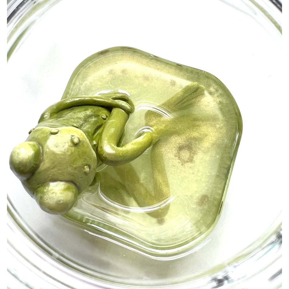 Der Spreewaldfrosch, Pickles, saure Gurken, Frosch Skulptur, Frosch im Glas, Froschkönig, Froschplastik, modellierter Fr Bild 8
