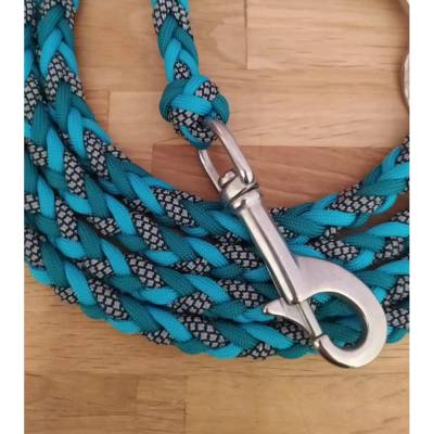 Reflektierende Hundeleine aus Paracord, sicher und langlebig,verschiedene Längen und Karabiner wählbar; Arrow
