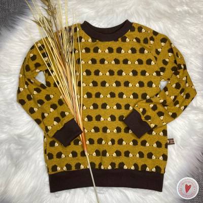 Langarmshirt* Gr.104 * Igel