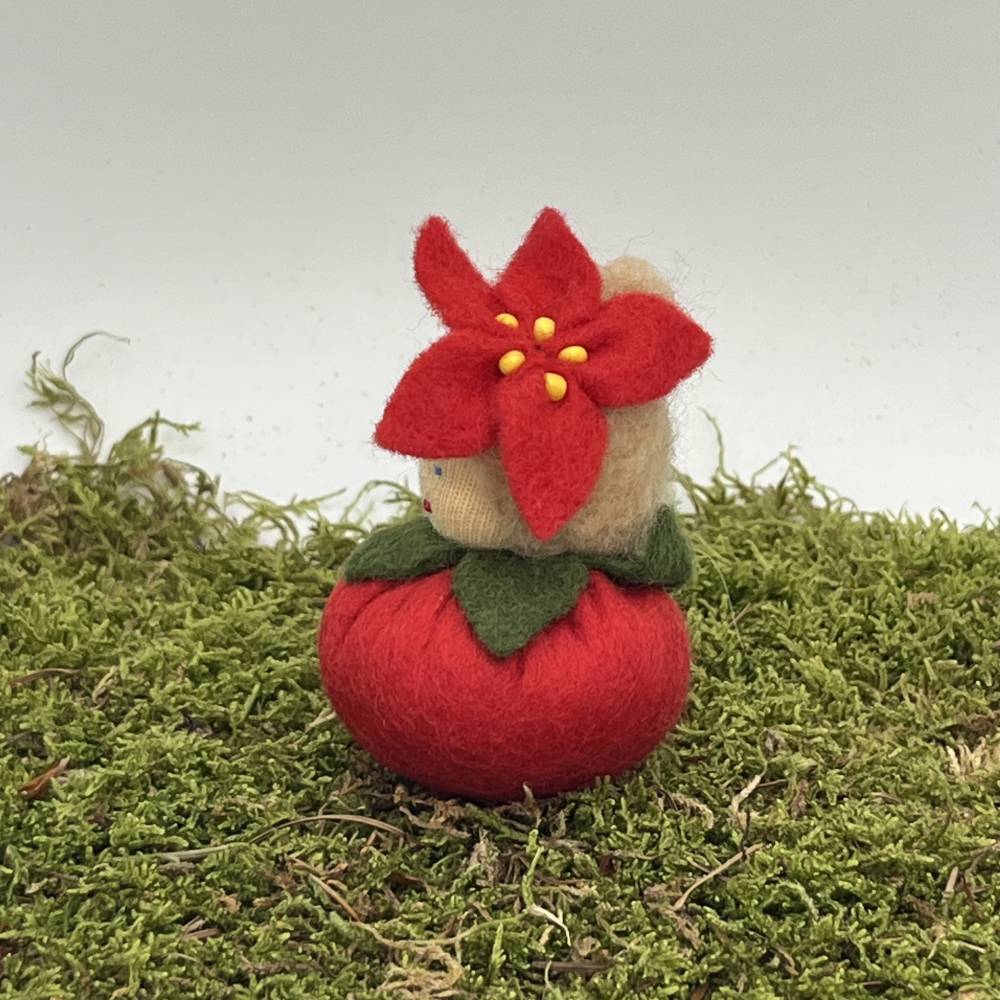 Weihnachtsstern Mini - Blumenkind - Jahreszeitentisch - Winter