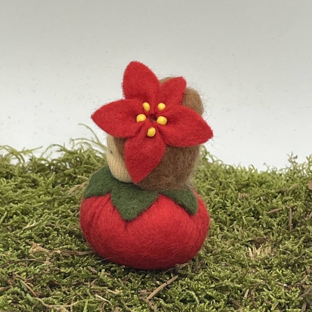 Weihnachtsstern Mini - Blumenkind - Jahreszeitentisch - Winter