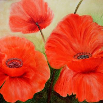 Mohnblumenblüten - Original Ölmalerei, Unikat