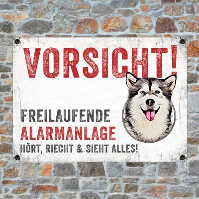 Hundeschild FREILAUFENDE ALARMANLAGE mit Alaskan Malamute, wetterbeständiges Warnschild