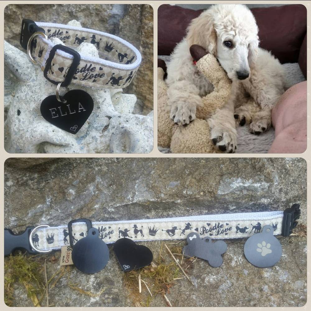 Hundehalsband PUDEL LOVE