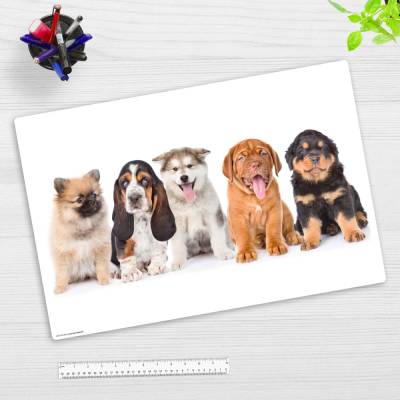 5 süße Hundewelpen – 60 x 40 cm – Schreibunterlage aus hochwertigem Vinyl – Made in Germany!