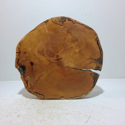 Baumscheibe, Holzscheibe, Erle, Holz, Bastelholz, Holzdeko, Dekoration,Holz
