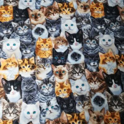 Stoff mit Katzen aller Art! für Ihr nächstes Katzen - Nähprojekt
