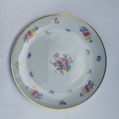 VINTAGE HUTSCHENREUTHER SELB BAVARIA 7878 TELLER