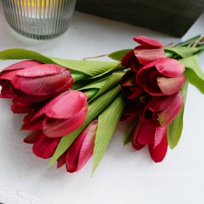 Tulpe rot 14er