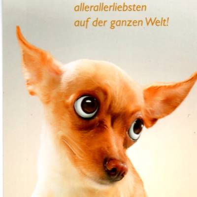 Glückwunschkarte Chiwawa – Sprüche-Postkarte mit Chihuahua Motiv, 10,5 x 15 cm