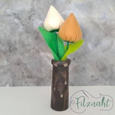 Tulpe