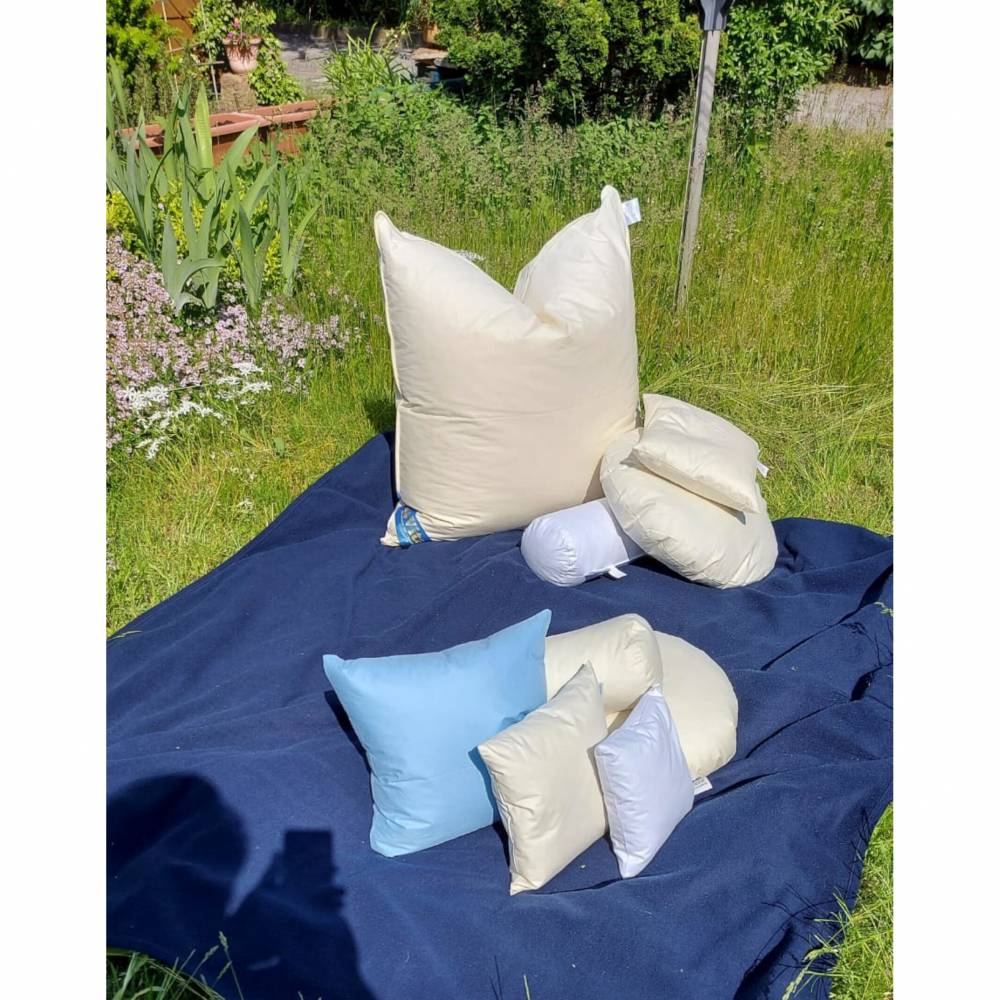 60 x 60 cm Füllkissen mit sehr softer 600g Federfüllung Kuschelkissen Innenkissen Füllkissen Federkissen Kopfkissen