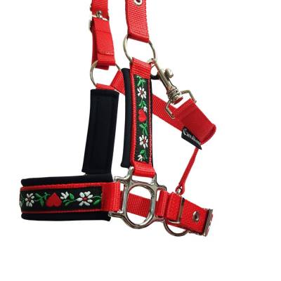 Halfter Mini Shetty Heidi rot – 3fach verstellbares Pferdehalfter für Mini Shettys von Cavalletti-Feines fürs Pferd