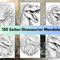 Waldfeen Malbuch Erwachsene 50 Seiten Kinder Sofort Download -Graustufen Malbuch Fantasy