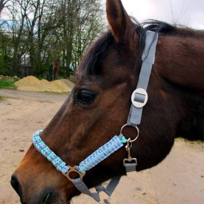 Pferdehalfter "Ice Blue" Halfter Pferd Stallhalfter Reithalfter mit Paracord Flechtung Pony Vollblut Warmblut