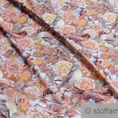 Stoff Baumwolle Elastan Single Jersey sand Vogel dehnbar weich Rotkehlchen Blüte
