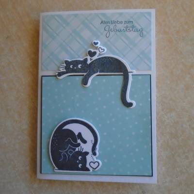 Glückwunschkarte Geburtstagskarte Grußkarte Katze Katzen Katzenfan Farbe nach Wahl Stampin up