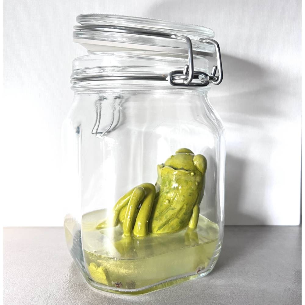Der Spreewaldfrosch, Pickles, saure Gurken, Frosch Skulptur, Frosch im Glas, Froschkönig, Froschplastik, modellierter Fr Bild 2